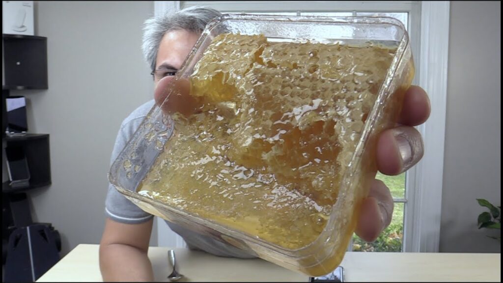 Cómo comer un panal de abejas