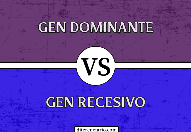 Diferencia entre gen dominante y gen recesivo