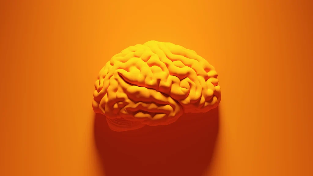 Como el cerebro crea la mente