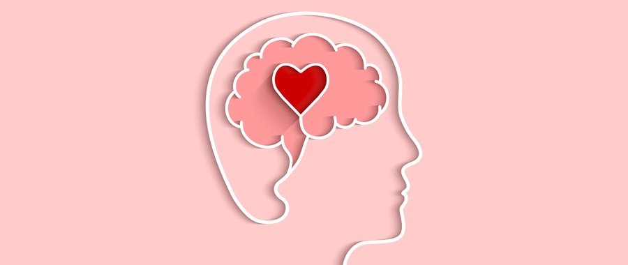 conectar mente y corazon
