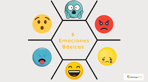 6 emociones universales